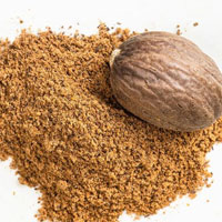 Nutmeg Powder Exporter from India